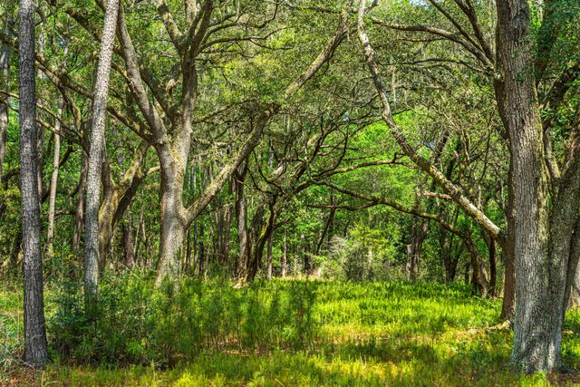 Lot 4 King Rail Lane, Edisto Island, SC 29438