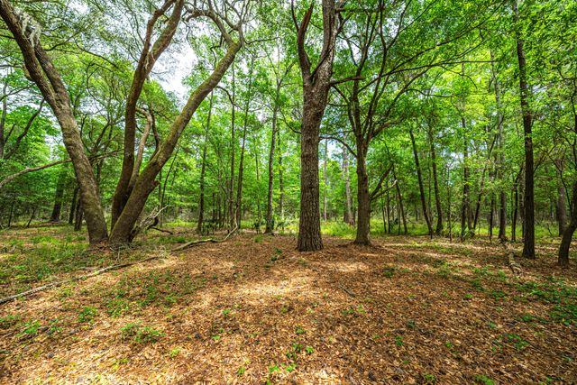 Lot 4 King Rail Lane, Edisto Island, SC 29438