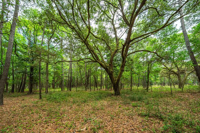 Lot 4 King Rail Lane, Edisto Island, SC 29438