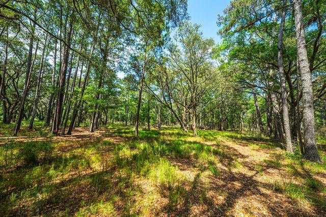 Lot 4 King Rail Lane, Edisto Island, SC 29438