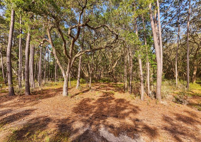 Lot 4 King Rail Lane, Edisto Island, SC 29438