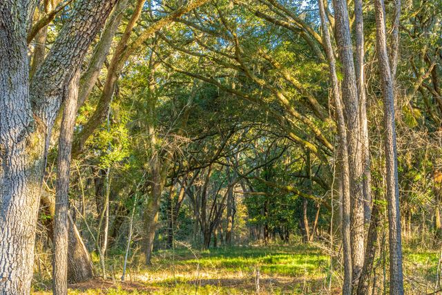 Lot 4 King Rail Lane, Edisto Island, SC 29438