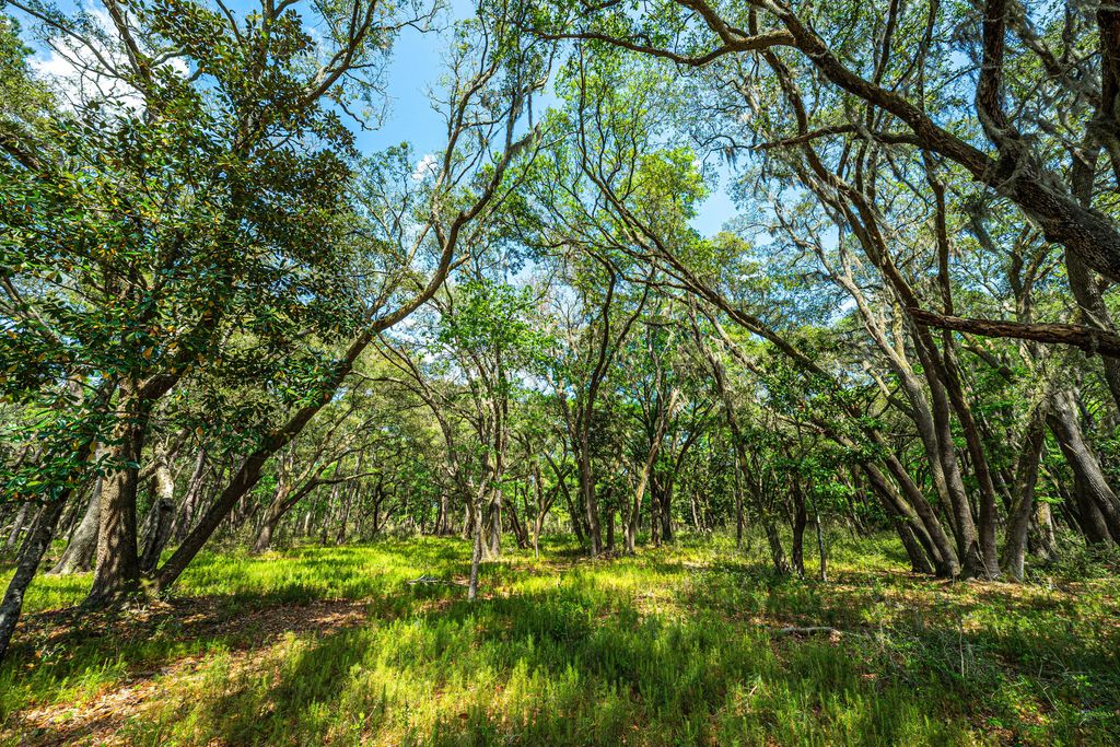 Lot 4 King Rail Lane, Edisto Island, SC 29438