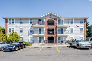 1645 NE Merman Dr Apt A201, Pullman, WA 99163