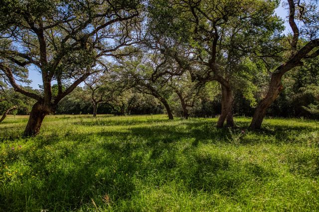 330 N Nassau Road, Round Top, TX 78954