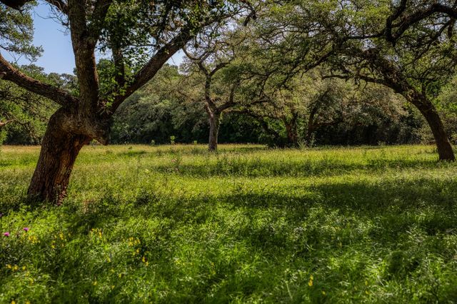 330 N Nassau Road, Round Top, TX 78954