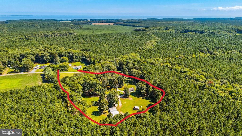 6019 BASKET SWITCH RD, Snow Hill, MD 21863