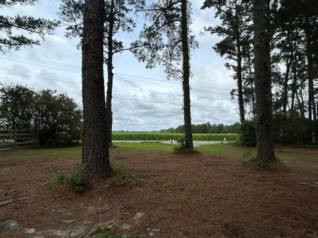 1033 Dawson Street, Eutawville, SC 29048