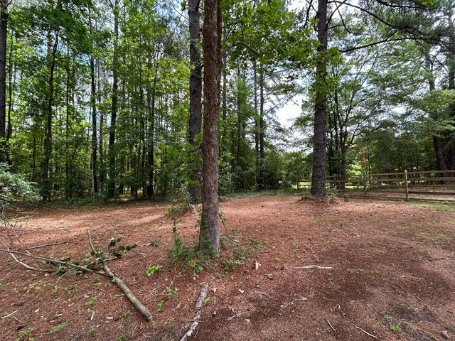 1033 Dawson Street, Eutawville, SC 29048