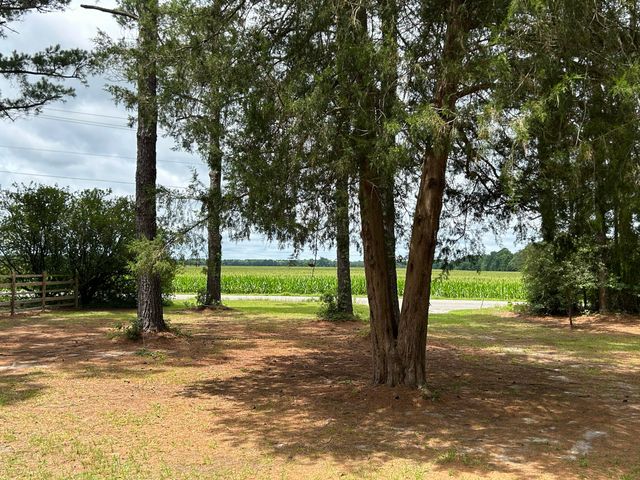 1033 Dawson Street, Eutawville, SC 29048