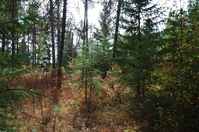 XX N Waldrons Ln, Chattaroy, WA 99003