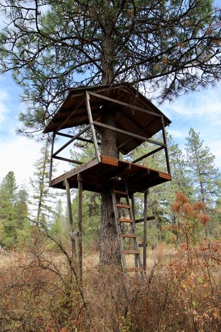 XX N Waldrons Ln, Chattaroy, WA 99003