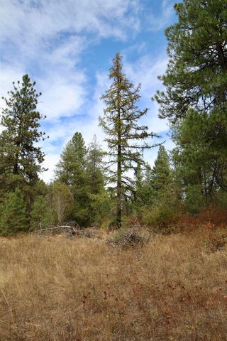 XX N Waldrons Ln, Chattaroy, WA 99003