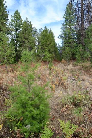 XX N Waldrons Ln, Chattaroy, WA 99003