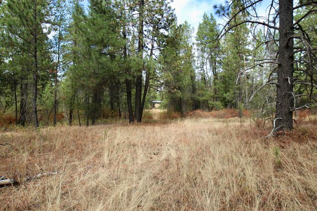 XX N Waldrons Ln, Chattaroy, WA 99003