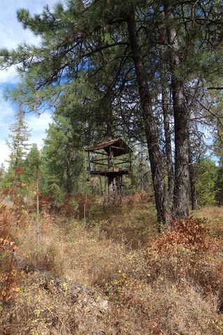 XX N Waldrons Ln, Chattaroy, WA 99003