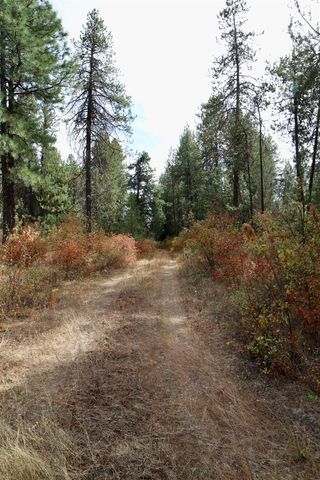 XX N Waldrons Ln, Chattaroy, WA 99003