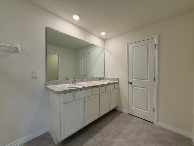 12072 DOWNY BIRCH DRIVE, Riverview, FL 33569