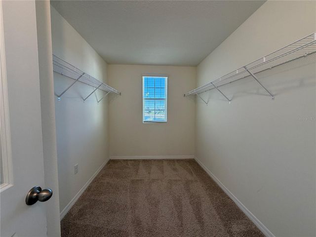 12072 DOWNY BIRCH DRIVE, Riverview, FL 33569