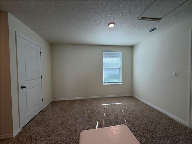 12072 DOWNY BIRCH DRIVE, Riverview, FL 33569