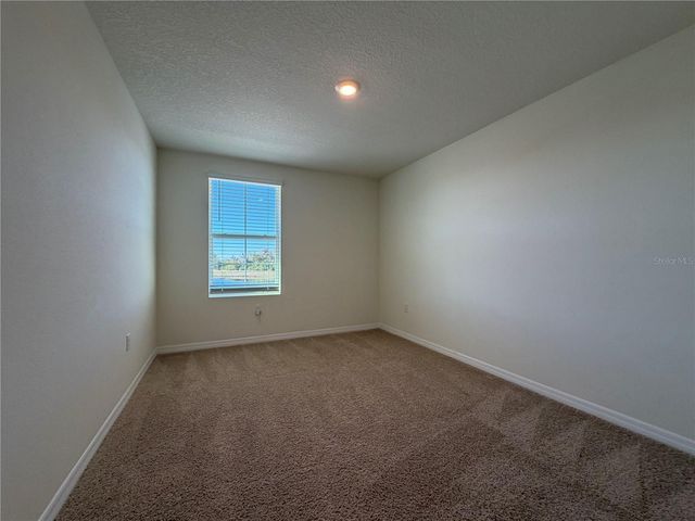 12072 DOWNY BIRCH DRIVE, Riverview, FL 33569