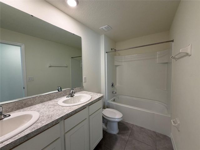 12072 DOWNY BIRCH DRIVE, Riverview, FL 33569