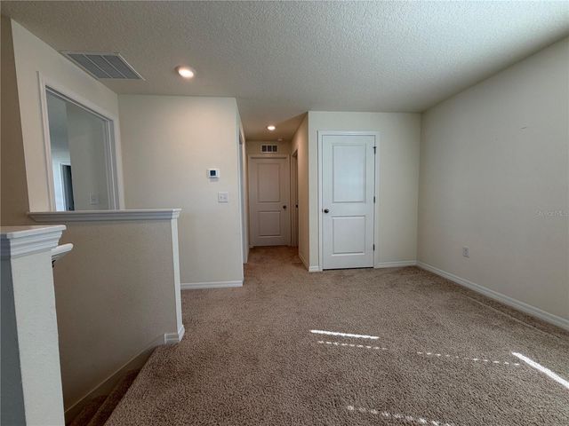 12072 DOWNY BIRCH DRIVE, Riverview, FL 33569