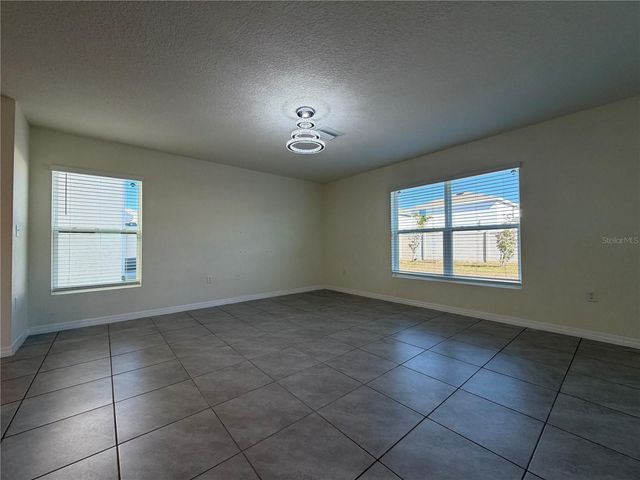 12072 DOWNY BIRCH DRIVE, Riverview, FL 33569