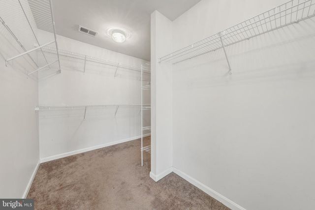 6101 BLACK OAK CT, Fredericksburg, VA 22407