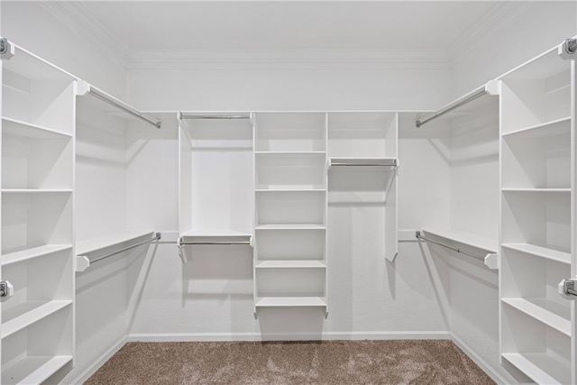 125 Rachel Circle, Russellville, AR 72802