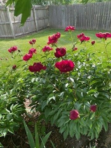 4616 94th Street, Urbandale, IA 50322