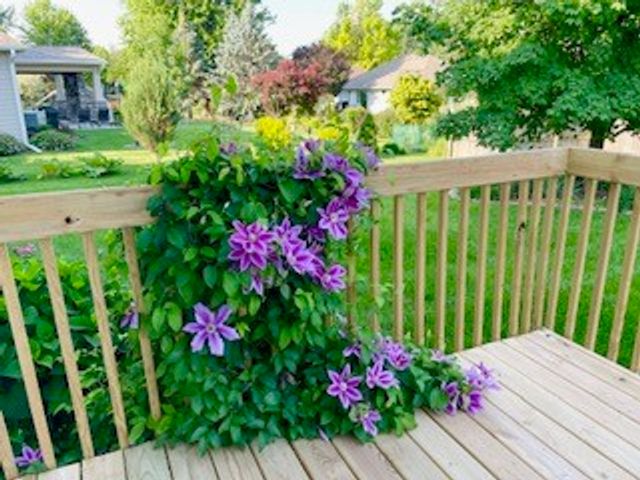 4616 94th Street, Urbandale, IA 50322