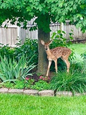 4616 94th Street, Urbandale, IA 50322