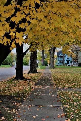 402 Jefferson Street, Cassopolis, MI 49031