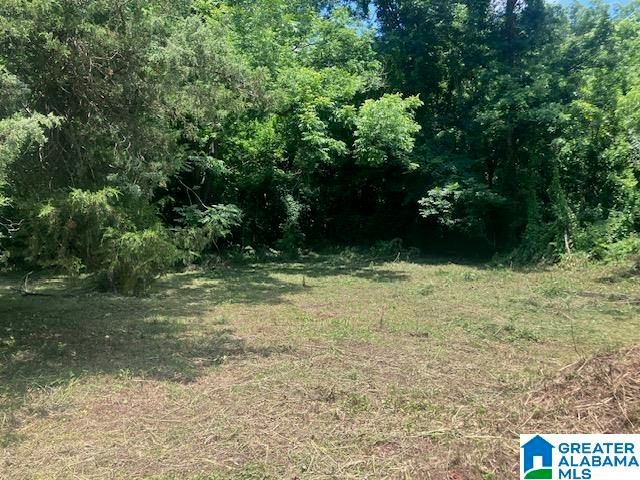 4107 & 4109 EDWARDS STREET, Brighton, AL 35020