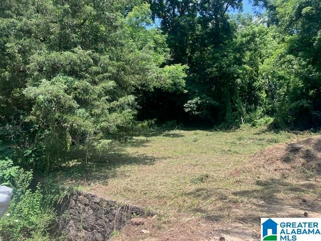 4107 & 4109 EDWARDS STREET, Brighton, AL 35020