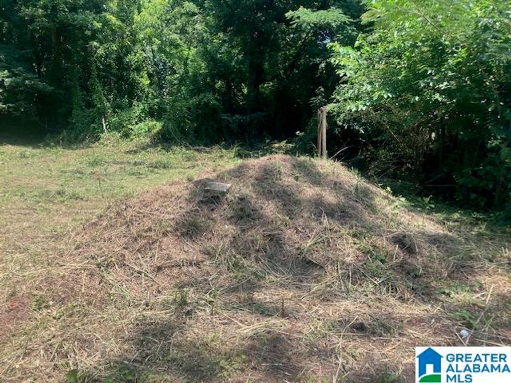 4107 & 4109 EDWARDS STREET, Brighton, AL 35020