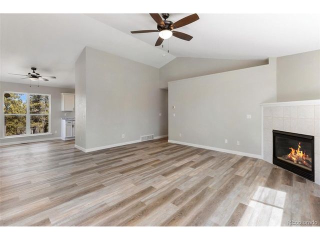 18 Mt. Powderhorn, Florissant, CO 80816