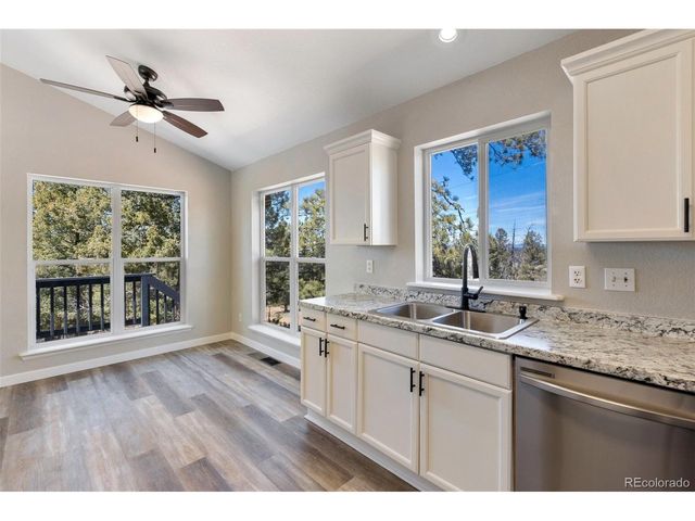 18 Mt. Powderhorn, Florissant, CO 80816