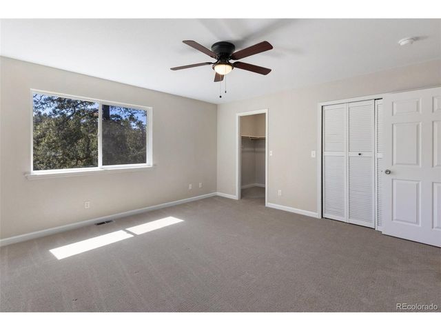 18 Mt. Powderhorn, Florissant, CO 80816