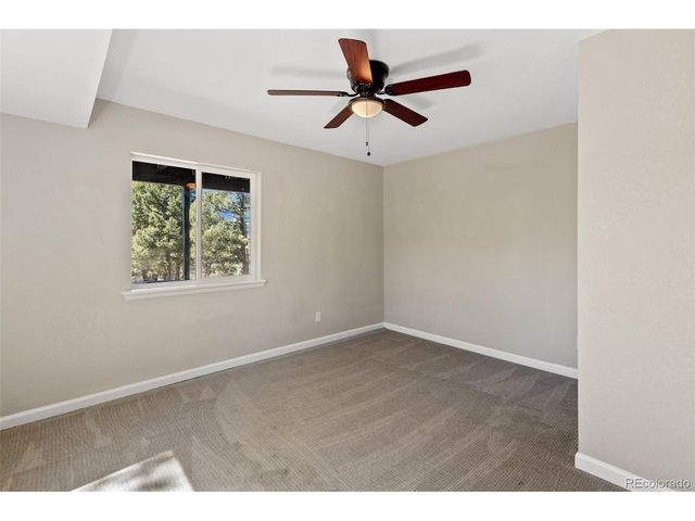 18 Mt. Powderhorn, Florissant, CO 80816