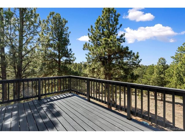 18 Mt. Powderhorn, Florissant, CO 80816