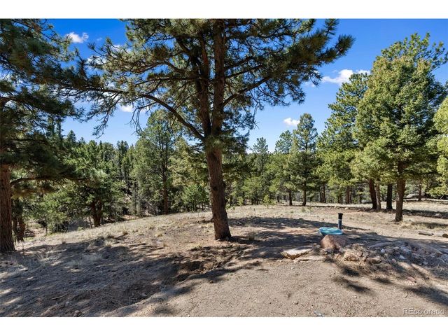 18 Mt. Powderhorn, Florissant, CO 80816