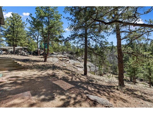 18 Mt. Powderhorn, Florissant, CO 80816