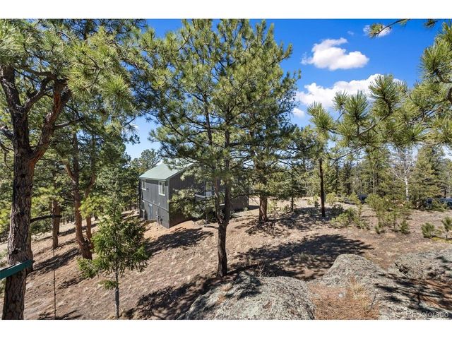 18 Mt. Powderhorn, Florissant, CO 80816