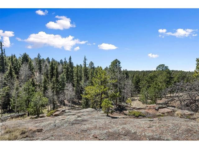 18 Mt. Powderhorn, Florissant, CO 80816