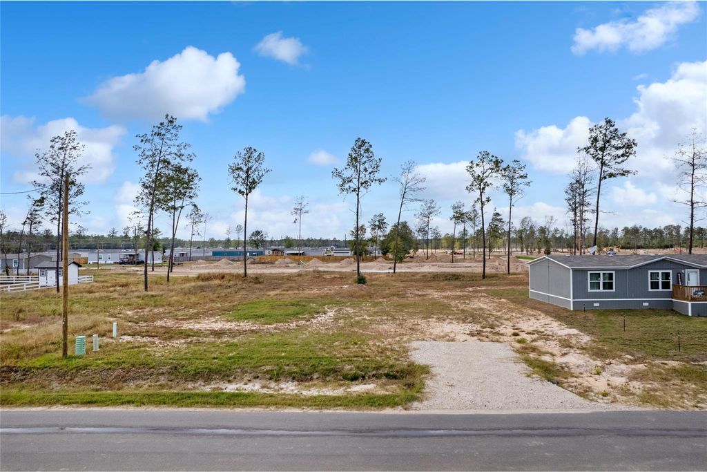 12224 Truchard Drive, Conroe, TX 77306