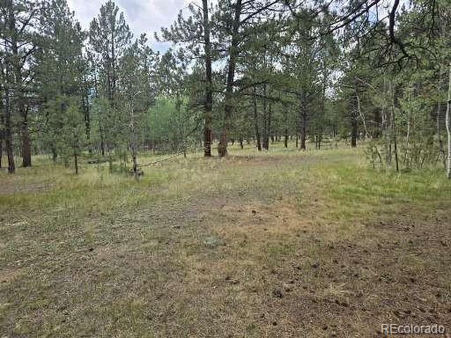 131 Hitchrack Rd, Bailey, CO 80421