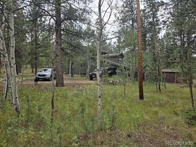 131 Hitchrack Rd, Bailey, CO 80421