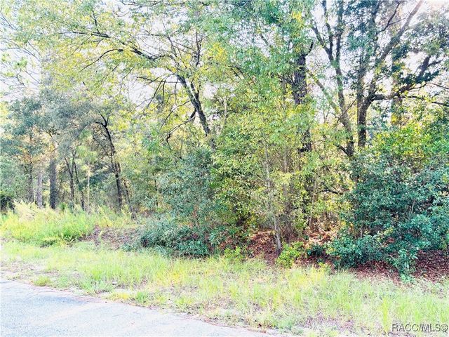 TBD SW Pineapple Hill Drive, Dunnellon, FL 34431